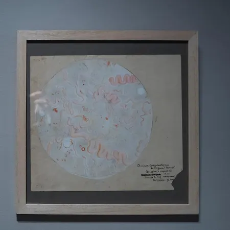 Bliss מלון קוגולין